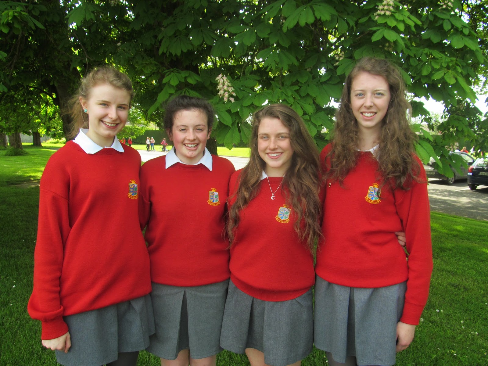 IOSG Waterford winners at Irish schools